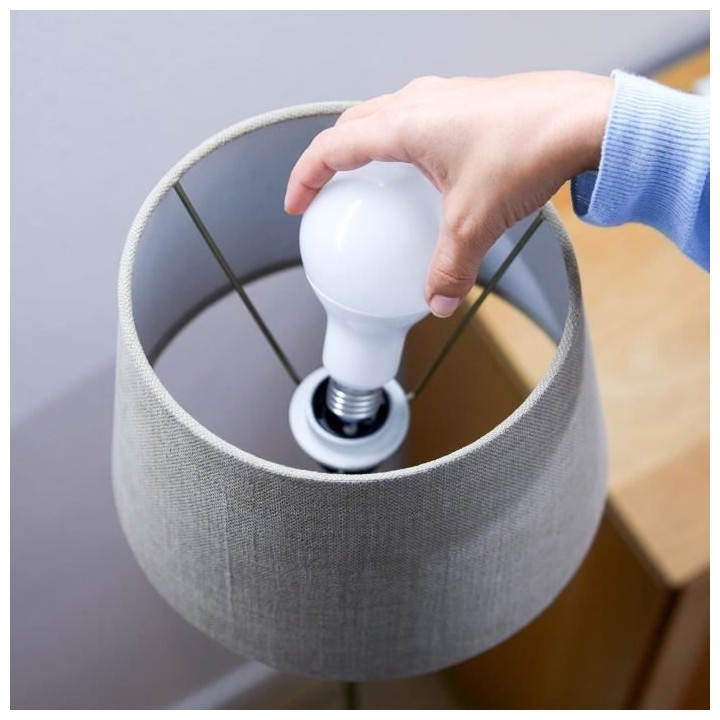 WiZ Ampoule connectée Blanc variable E27 100W