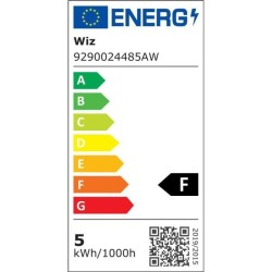 WiZ Ampoule connectée flamme Intensité variable E14 40W