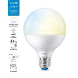 WiZ Ampoule connectée Globe 120 Blanc variable E27 75W