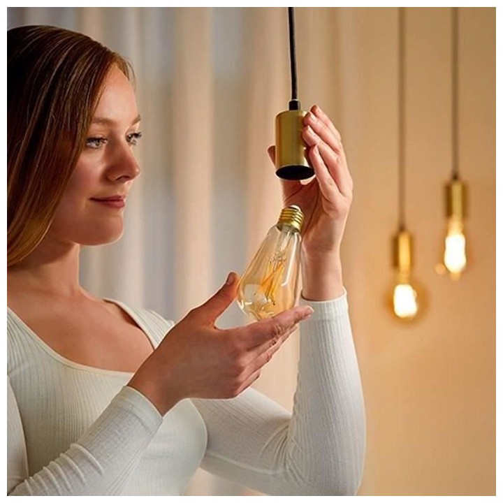 Kit de démarrage WiZ 2 ampoules connectées Edison Blanc variable E27