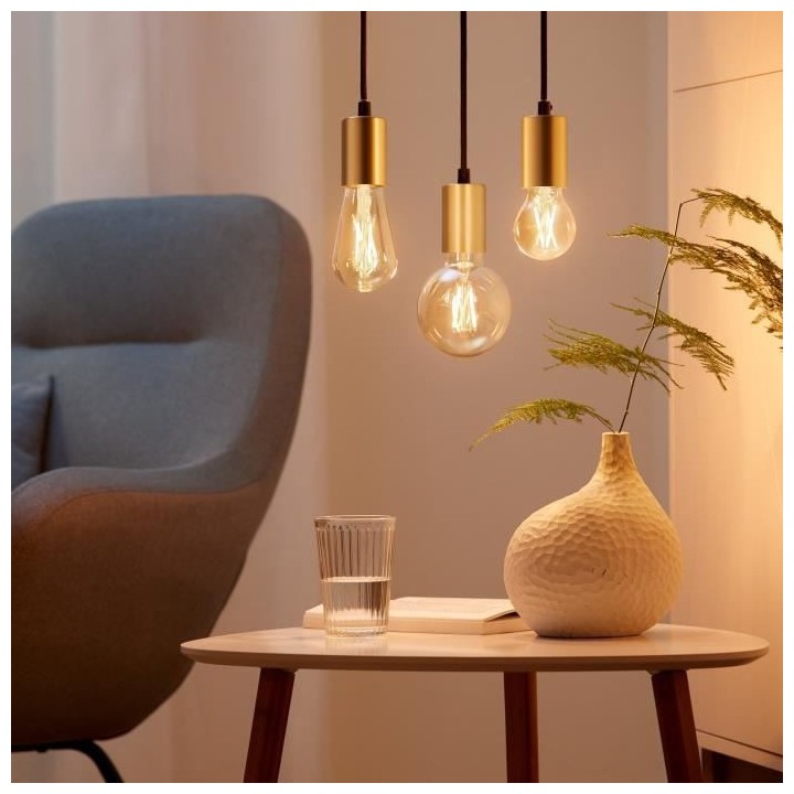 Kit de démarrage WiZ 2 ampoules connectées Edison Blanc variable E27