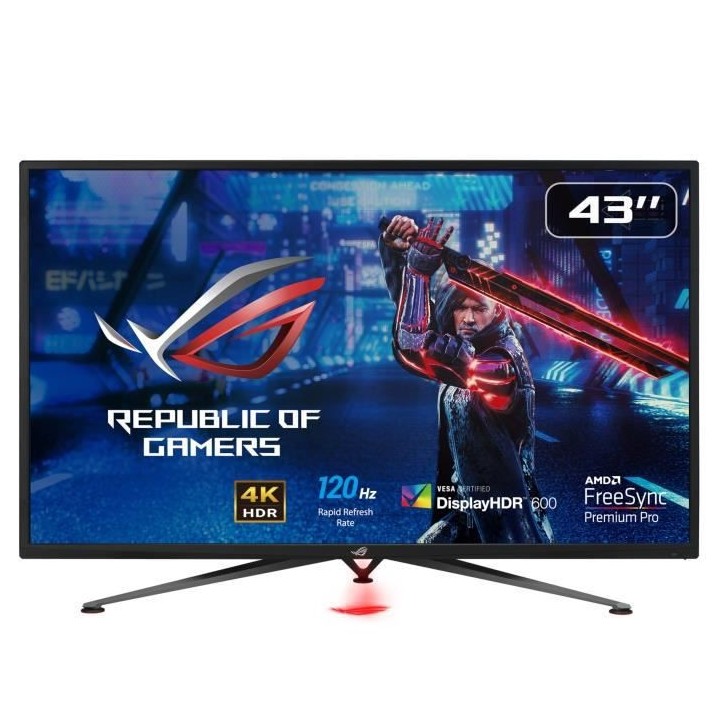 Ecran PC Gamer ASUS ROG XG438QR - 42.5 - VA - 4K UHD (3840x2160 px) -