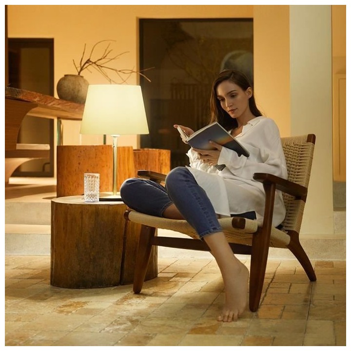 Xiaomi Mi Lite Ampoule E27 LED intelligente (blanc et couleur)