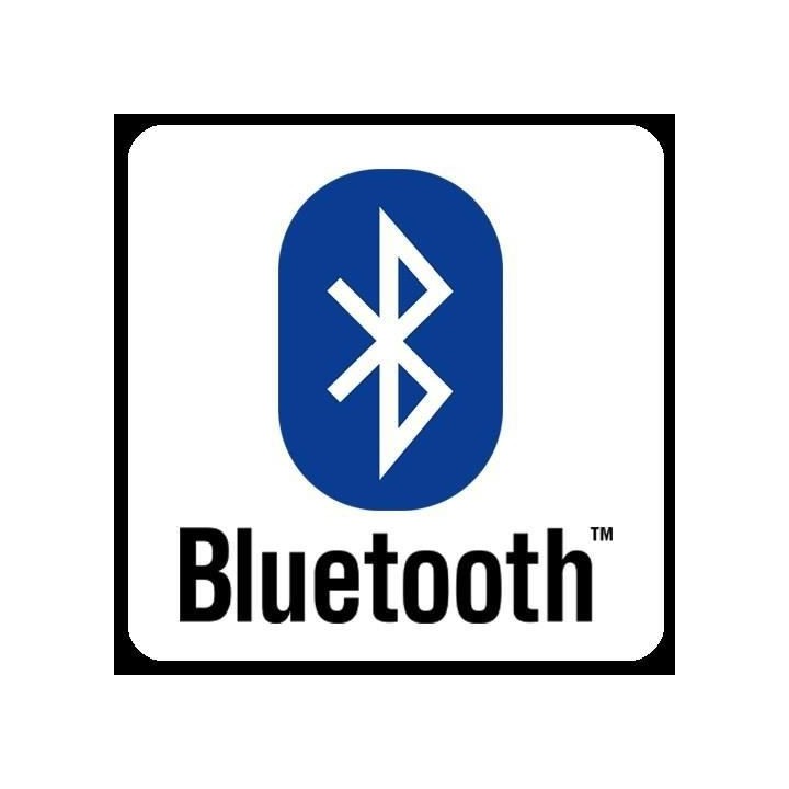 LUMISKY Lampe musicale d'extérieur avec haut parleur - 21 x 21 x 31 c