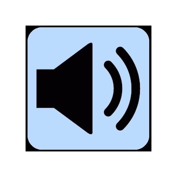 LUMISKY Lampe musicale d'extérieur avec haut parleur - 21 x 21 x 31 c