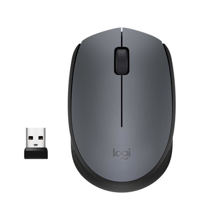 LOGITECH - Souris Sans Fil Ambidextre M170 - Gris
