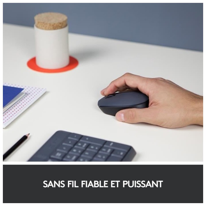 LOGITECH - Souris Sans Fil Ambidextre M170 - Gris