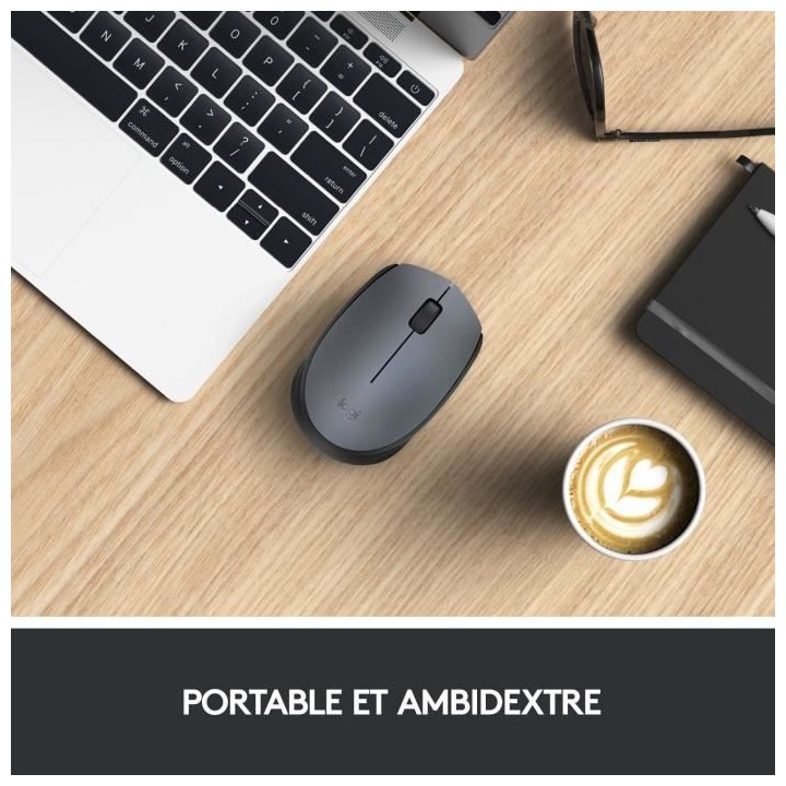 LOGITECH - Souris Sans Fil Ambidextre M170 - Gris