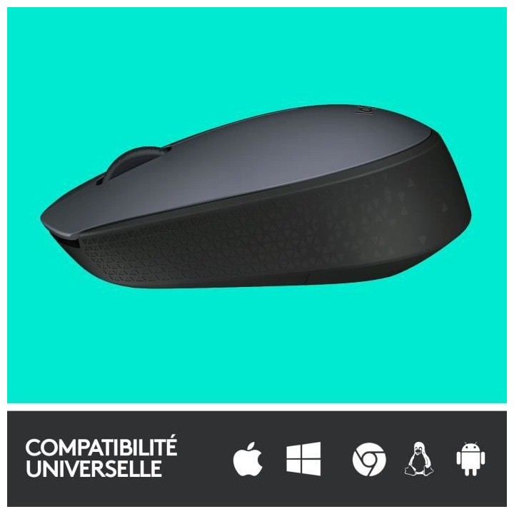 LOGITECH - Souris Sans Fil Ambidextre M170 - Gris