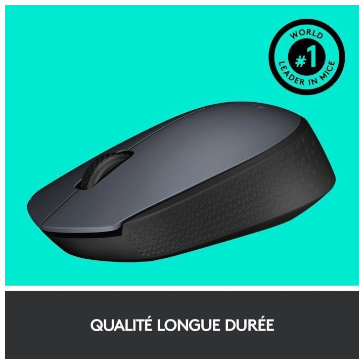 LOGITECH - Souris Sans Fil Ambidextre M170 - Gris