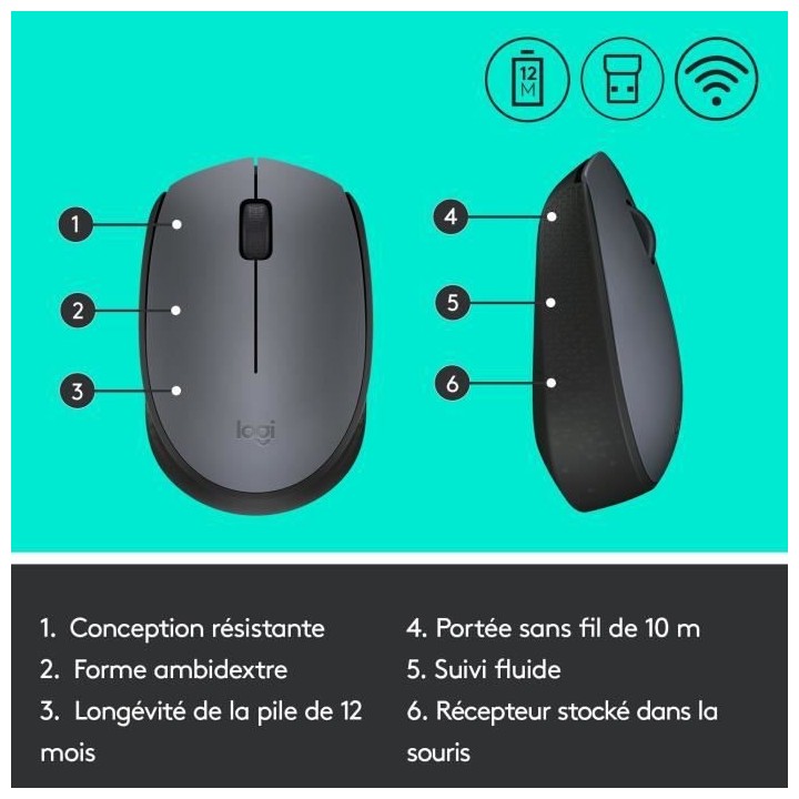 LOGITECH - Souris Sans Fil Ambidextre M170 - Gris
