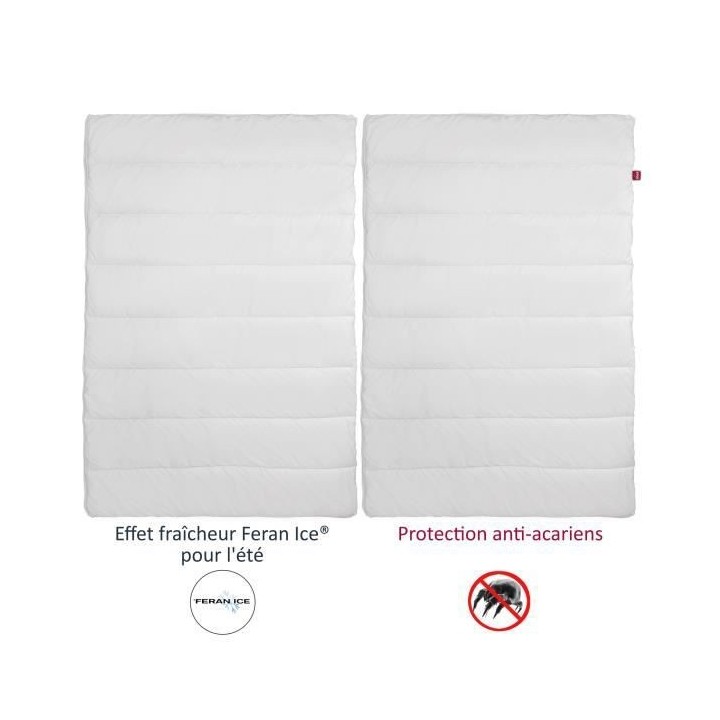 ABEIL Couette 4 Saisons ANTI-ACARIENS 240x260cm