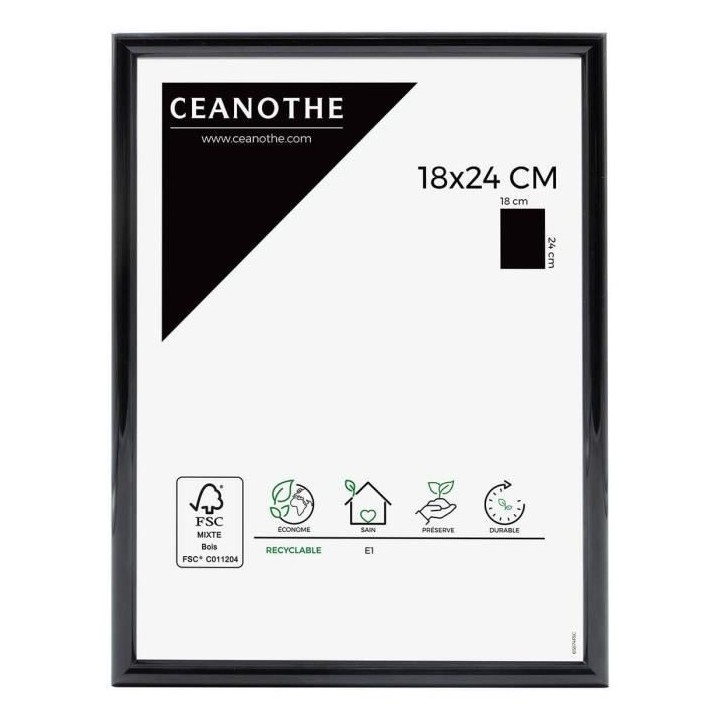 CEANOTHE Cadre photo Expo noir 18x24 cm - Ceanothe, marque française