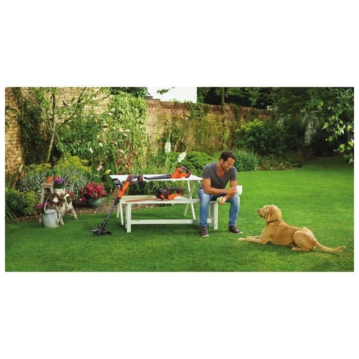 Taille-haies a batterie BLACK+DECKER - GTC18452PC - 18V - 45 cm (Livr