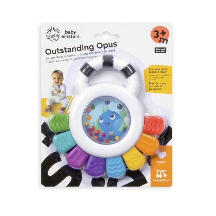 BABY EINSTEIN sensory teether