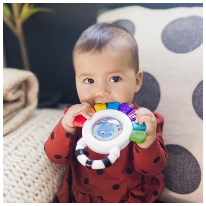 BABY EINSTEIN sensory teether