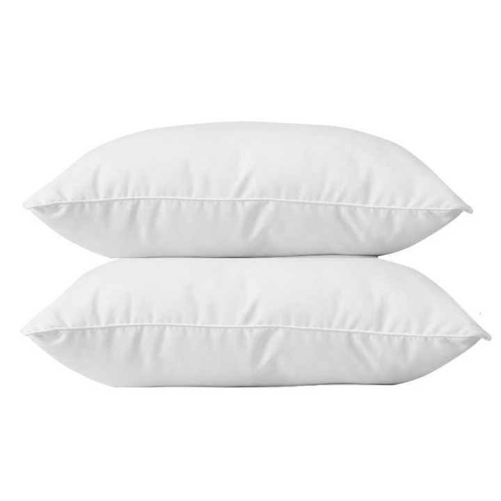 BLANREVE Lot de 2 Oreillers en coton - 60 x 60 cm - Blanc