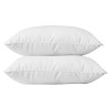 BLANREVE Lot de 2 Oreillers en coton - 60 x 60 cm - Blanc