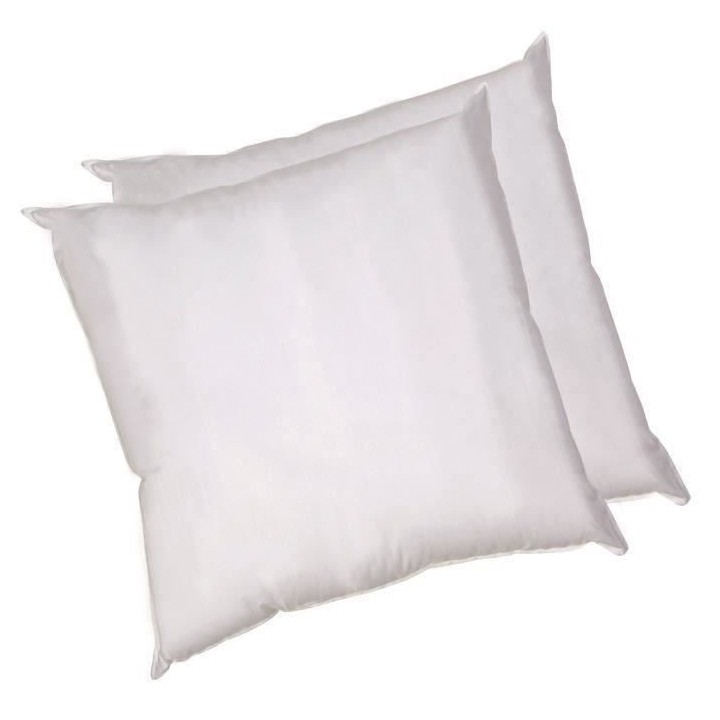 BLANREVE Lot de 2 Oreillers en coton - 60 x 60 cm - Blanc