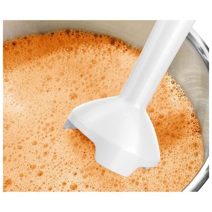 BOSCH MSM14100 CLEVERMIXX Mixeur plongeant - Blanc