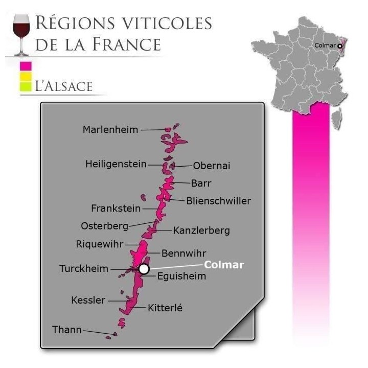 Pierre Brecht Pinot Gris Réserve - Vin blanc d'Alsace