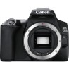 CANON 250D Appareil photo Reflex - Boitier nu