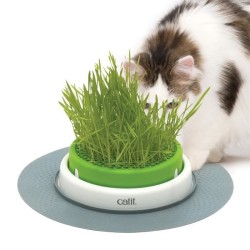 CATIT Jardin d'herbe a chat...