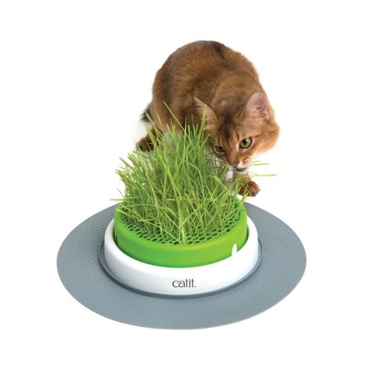 CATIT Jardin d'herbe a chat Senses 2.0