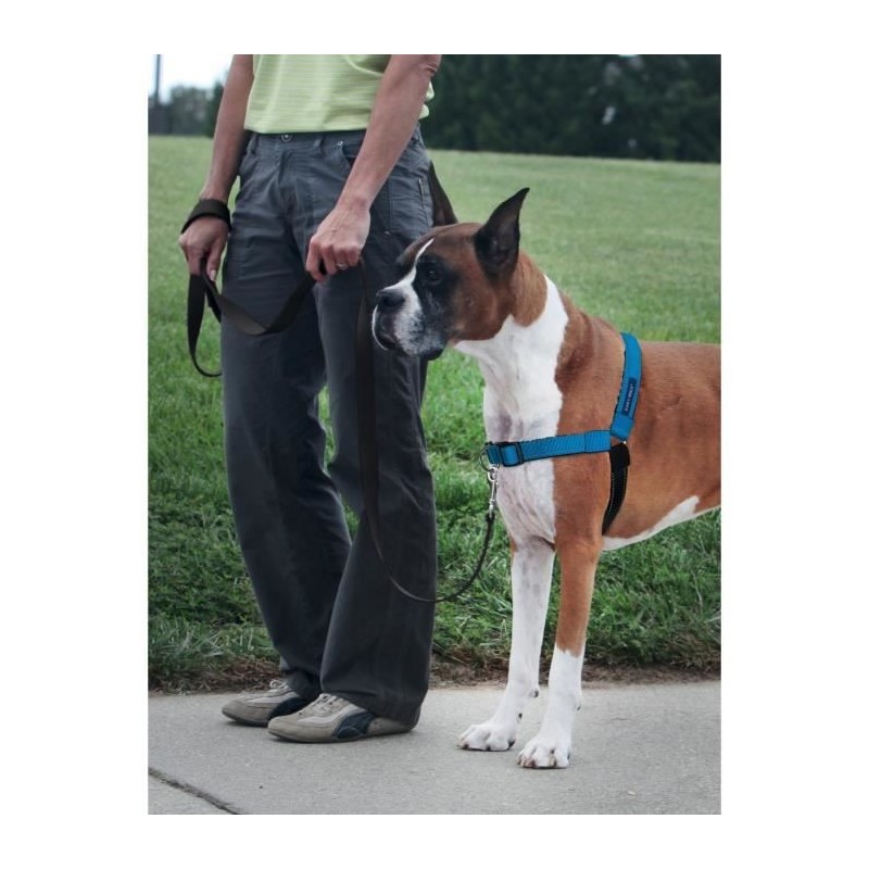 PetSafe - Harnais pour Chien Deluxe Easy Walk (M/L), Réfléchissant, Résistant, Facile a Utiliser, Anti-Traction - Bleu Océan