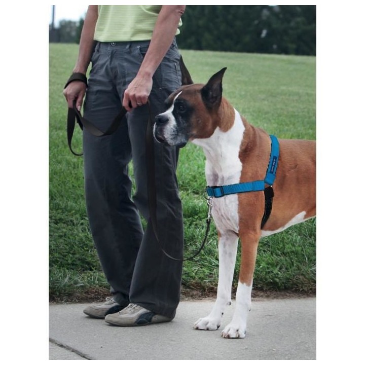 PetSafe - Harnais pour Chien Deluxe Easy Walk (M/L), Réfléchissant,