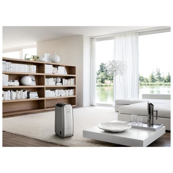 DELONGHI Déshumidificateur d'air DNS 80