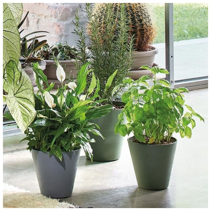 DEROMA Pot de fleurs Save R verde a réserve d'eau - Coloris vert - 30