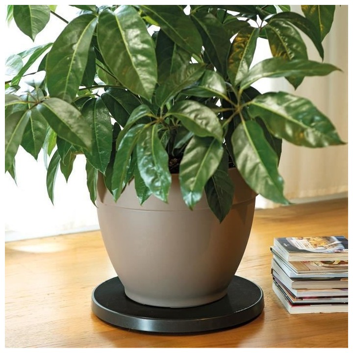 DEROMA - roll pot r support a roulettes pour pot de fleurs - 30cm