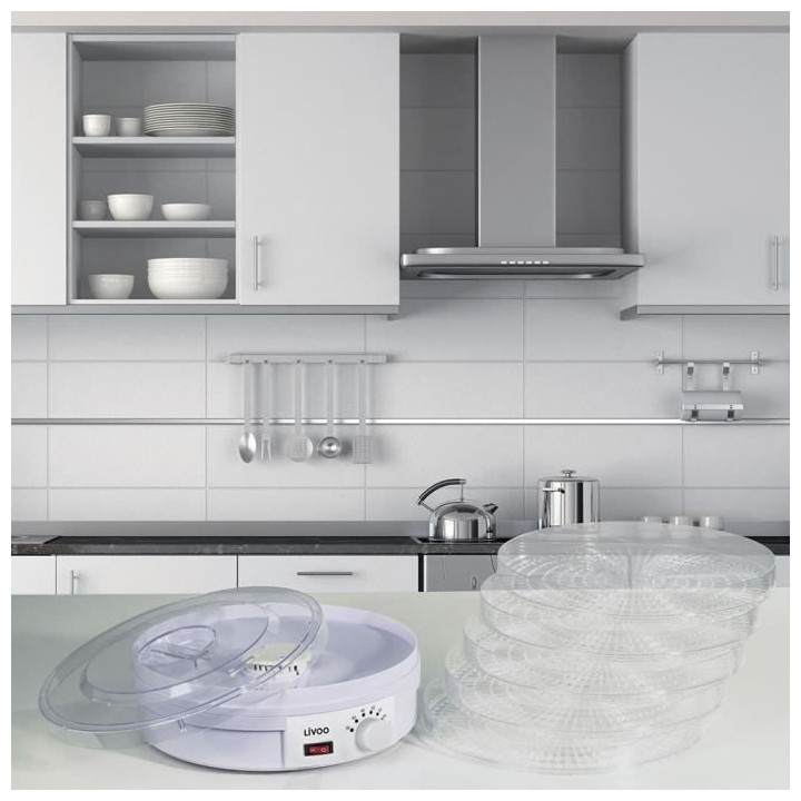 Deshydrateur LIVOO DOM202