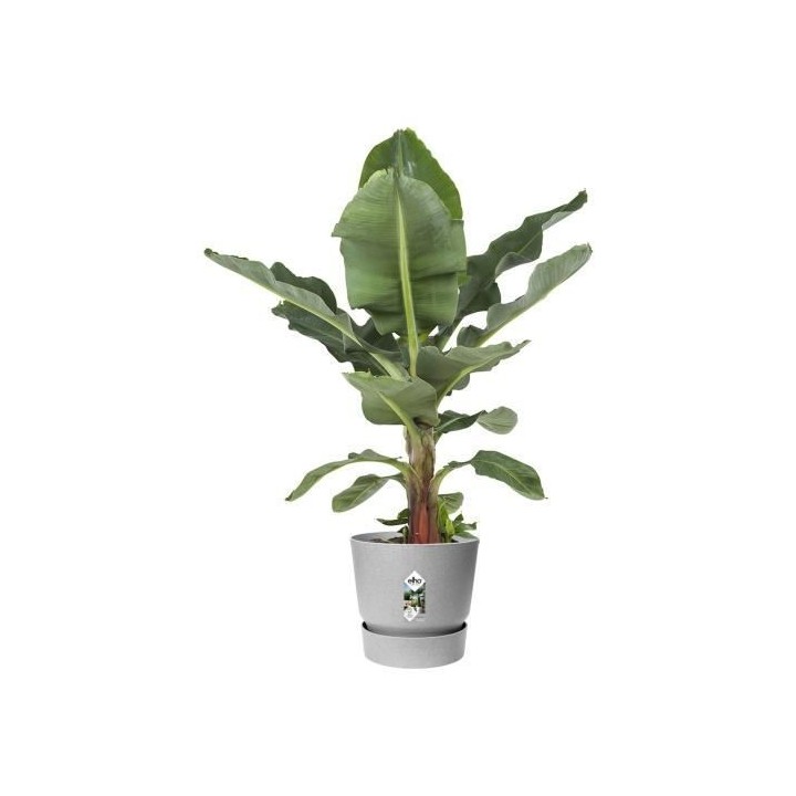 ELHO Pot de fleurs rond Greenville 30 - Extérieur - Ø 29,5 x H 27,8