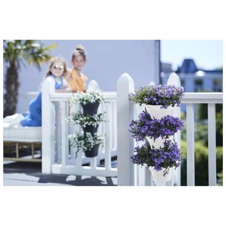 Corsica Foret Vertical 24 Set/3 blanc