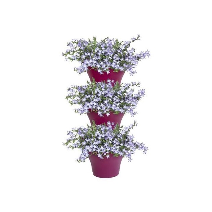 Corsica Foret Vertical 24 Set/3 cerise