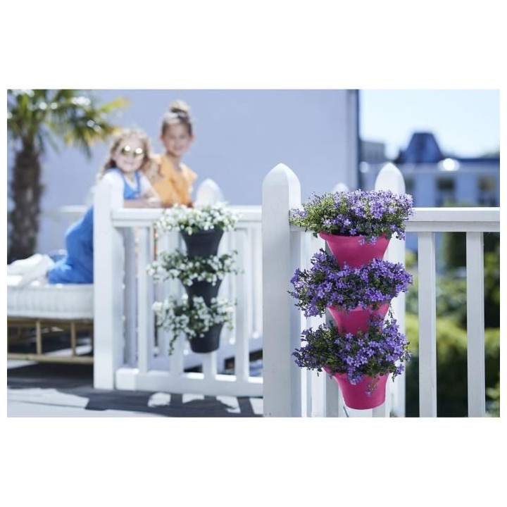 Corsica Foret Vertical 24 Set/3 cerise