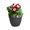 ELHO - Pot de fleurs - Vibia Campana Easy Hanger Small - Anthracite - Balcon extérieur - L 24.1 x W 20.5 x H 26.5 cm