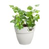 ELHO - Pot de fleurs - Vibia Campana Easy Hanger Small - Blanc Soie - Balcon extérieur - L 24.1 x W 20.5 x H 26.5 cm