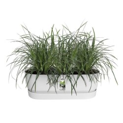 ELHO - Pot de fleurs - Greenville Easy Balcony 52 - Blanc - Balcon - L 21.2 x W 52 x H 19.4 cm