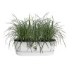 ELHO - Pot de fleurs - Greenville Easy Balcony 52 - Blanc - Balcon - L 21.2 x W 52 x H 19.4 cm