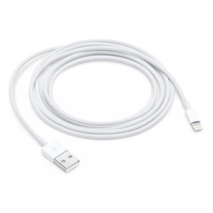 Apple Câble Lightning vers USB (2 m)