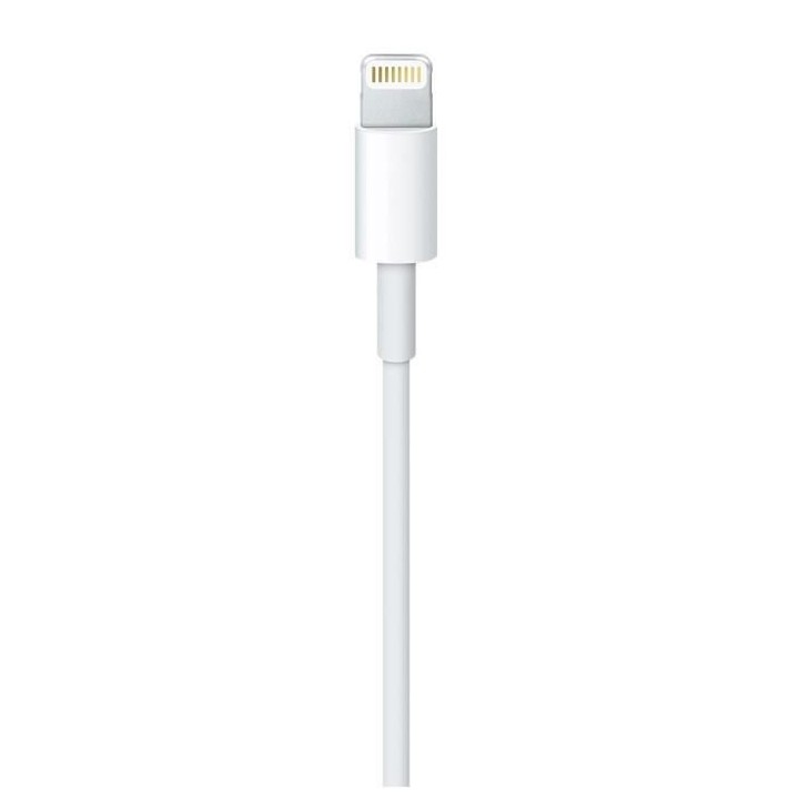 Apple Câble Lightning vers USB (2 m)