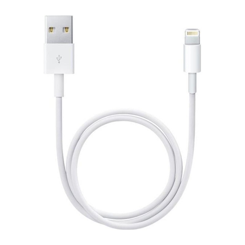 Apple Câble Lightning vers USB (0,5 m)