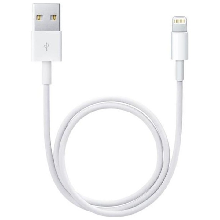 Apple Câble Lightning vers USB (0,5 m)