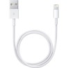 Apple Câble Lightning vers USB (0,5 m)