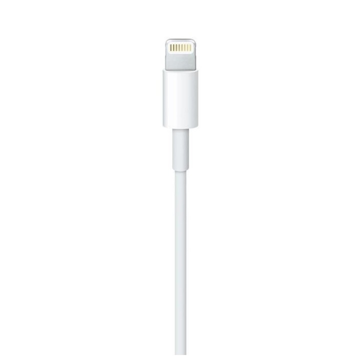 Apple Câble Lightning vers USB (0,5 m)