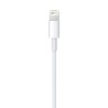 Apple Câble Lightning vers USB (0,5 m)