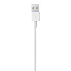 Apple Câble Lightning vers USB (0,5 m)